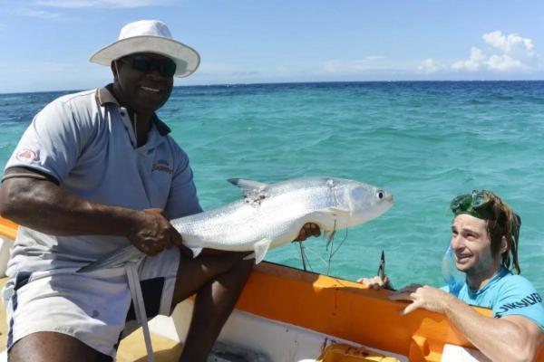 Bay Of Plenty Nature Lodge Nanuya Lailai المظهر الخارجي الصورة