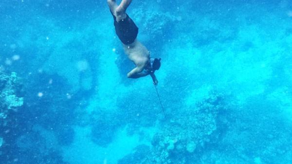Bay Of Plenty Nature Lodge Nanuya Lailai المظهر الخارجي الصورة