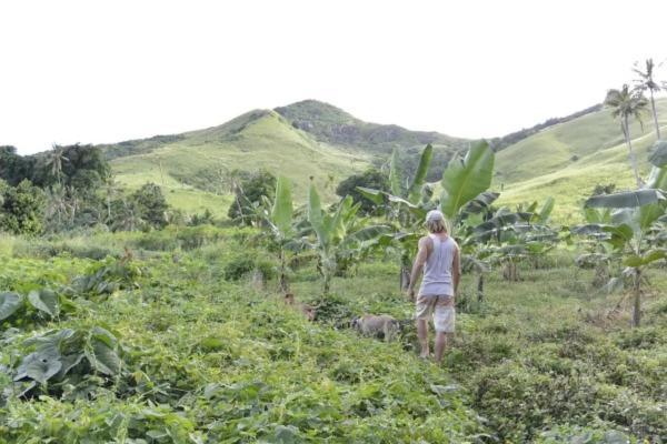 Bay Of Plenty Nature Lodge Nanuya Lailai المظهر الخارجي الصورة