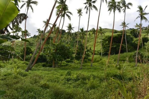 Bay Of Plenty Nature Lodge Nanuya Lailai المظهر الخارجي الصورة
