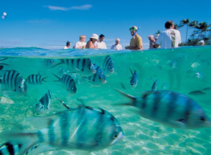 Bay Of Plenty Nature Lodge Nanuya Lailai المظهر الخارجي الصورة